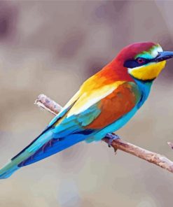 Bee Eater Bird paint by number