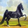 Black Saddlebred Horse paint by number