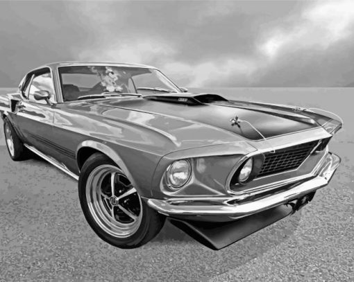 Black And White Old Mach 1 Mustang paint by number