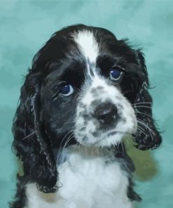 Black And White Cocker Spaniel Puppy paint by number