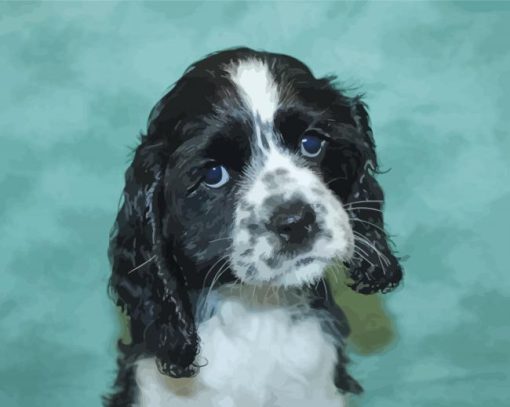 Black And White Cocker Spaniel Puppy paint by number