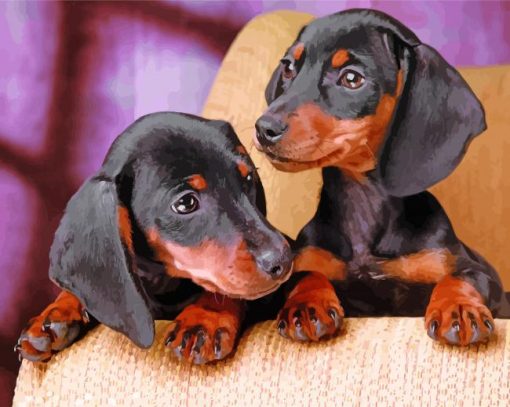 Dachshund Miniature Dogs Animals paint by number