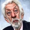 Donald Sutherland Caricature paint by number