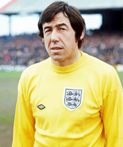 Gordon Banks Player Paint by number