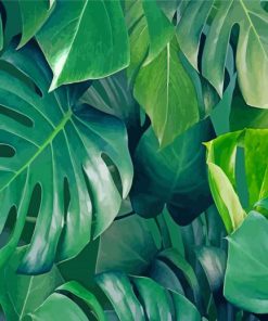 Green Botanical Artwork paint by number