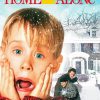 Home Alone Comedy Movie paint by number