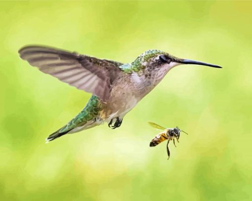 Hummingbird And Bee paint by number