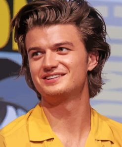 Joe Keery paint by number