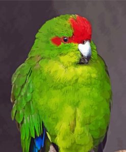 Kakariki Parrot paint by number