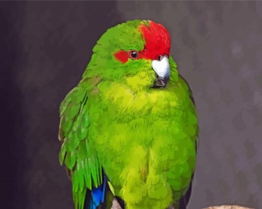 Kakariki Parrot paint by number