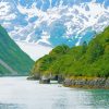 Kenai Fjords National Park Alaska Landscape Paint by number