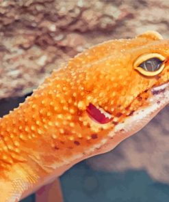 Leopard Desert Gecko paint by number