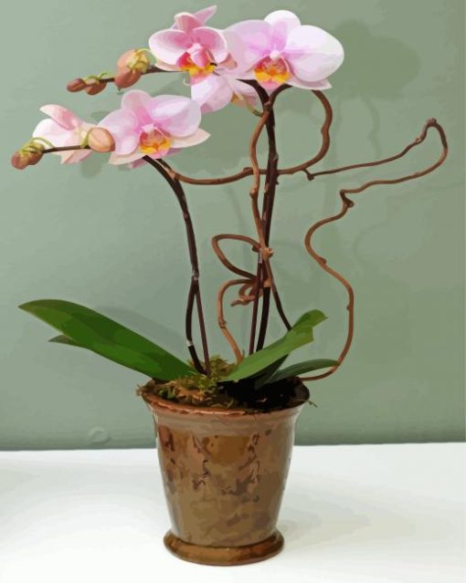 Light Pink Orchids Vase paint by number