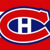 Montreal Canadiens Hockey Logo paint by number