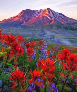 Mt St Helens With Red Poppies paint by number