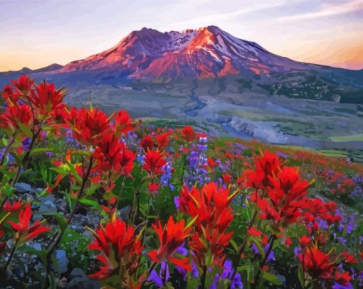 Mt St Helens With Red Poppies paint by number