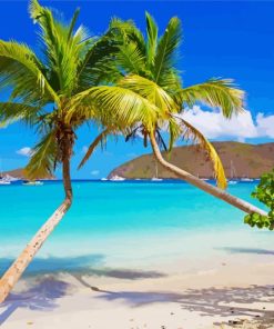 Palm Trees In US Virgin Islands Beach paint by number