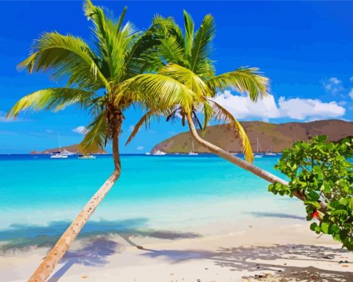 Palm Trees In US Virgin Islands Beach paint by number