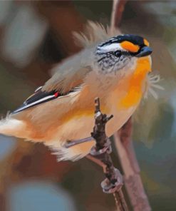 Pardalote On A Branch paint by number