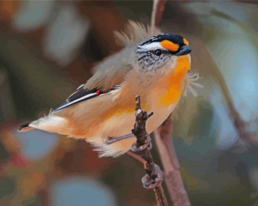 Pardalote On A Branch paint by number