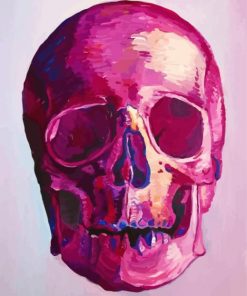 Pink Skull Art paint by number