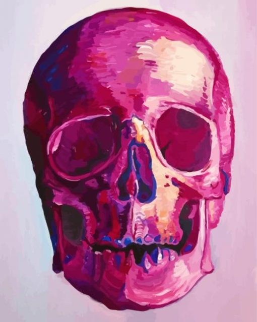 Pink Skull Art paint by number