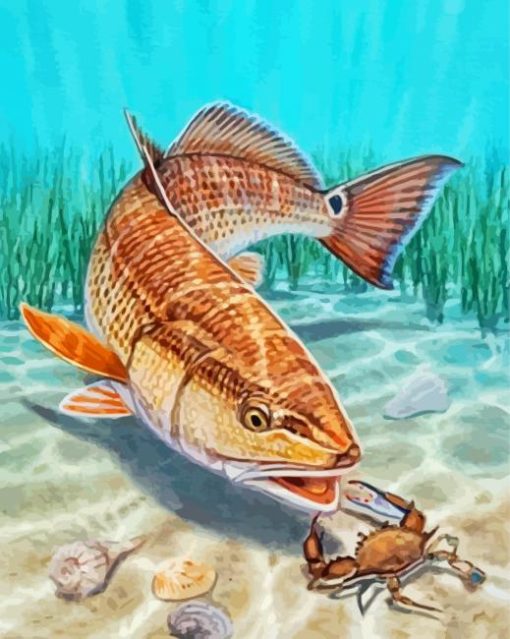 Red Drum Fish Art paint by number