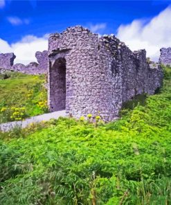 Rock Of Dunamase Castle Paint by number