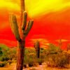 Sunset Saguaro National Park paint by number