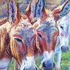 Trio Donkey Art paint by number