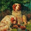 Two Clumber Spaniels paint by number