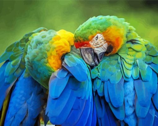 Two Parrots In Jungle Green With Blue paint by number