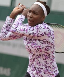 Venus Williams Player paint by number