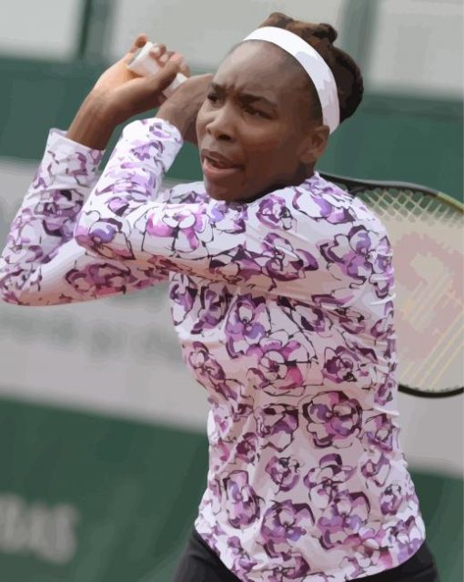 Venus Williams Player paint by number