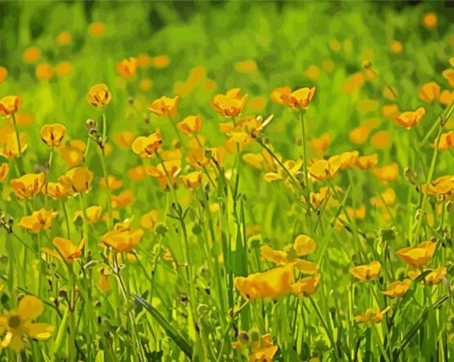 Yellow Buttercup Fields paint by number