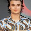 Aesthetic Joe Keery paint by number