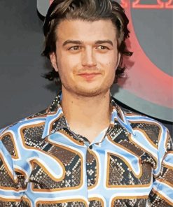 Aesthetic Joe Keery paint by number