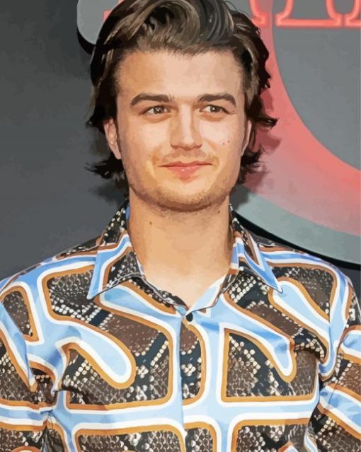 Aesthetic Joe Keery paint by number