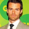 Aesthetic The Actor Daniel Gillies paint by number