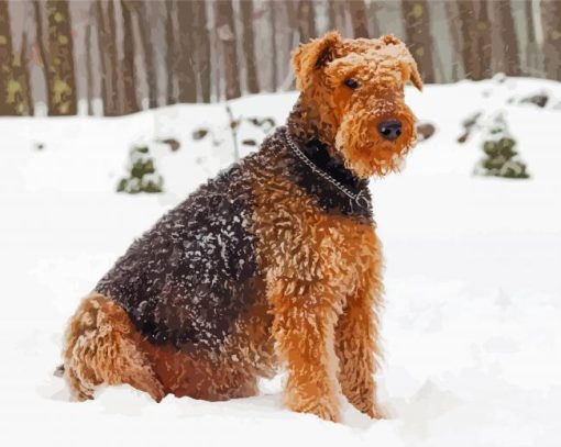 Airedale Sitting In Snow paint by number