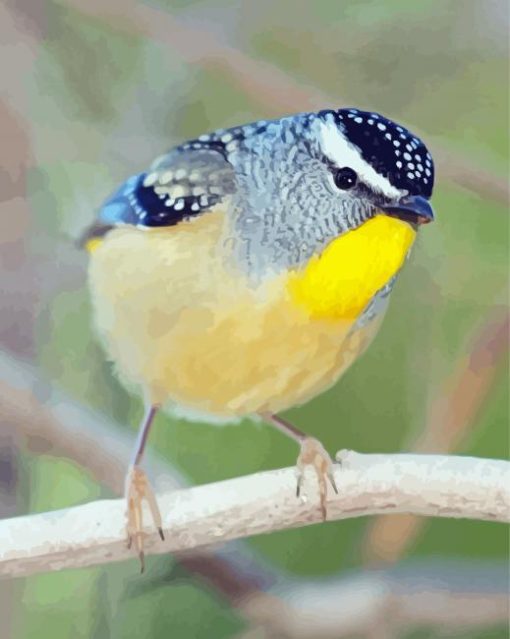 Cool Pardalote paint by number