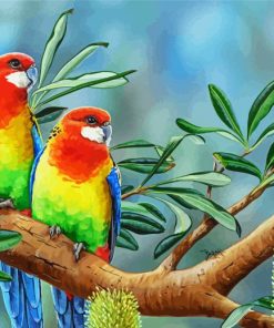 Eastern Rosellas Art paint by number