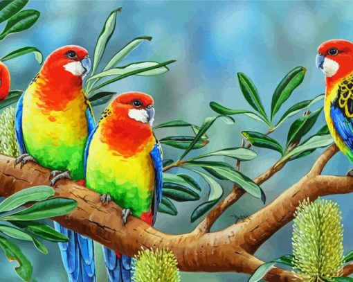 Eastern Rosellas Art paint by number