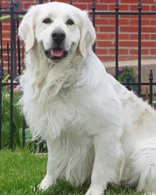 English Cream Golden Retriever paint by number