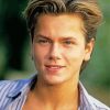 Handsome River Phoenix paint by number