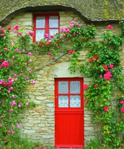 Red Flowering Door paint by number