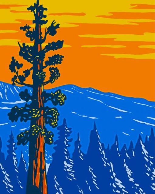 Sequoia National Park Poster Paint by number