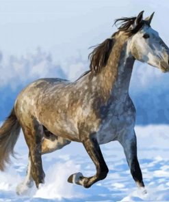 Snow Dapple Horse paint by number