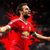 Splatter Juan Mata paint by number