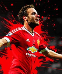 Splatter Juan Mata paint by number